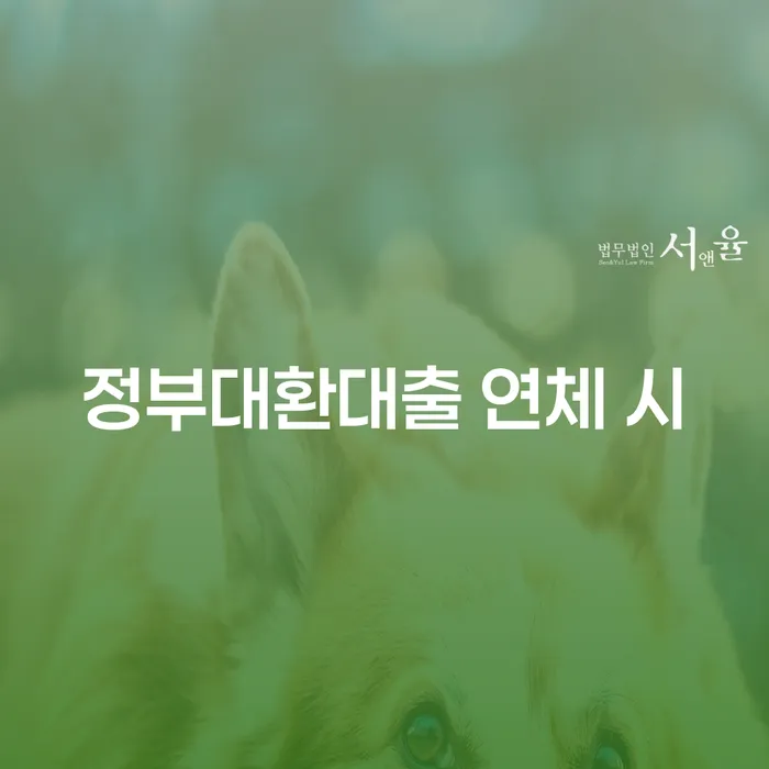 카드연체금 개인회생으로 해결방법 정해지는