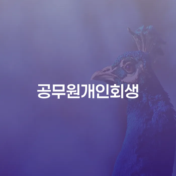 대출 연체 시 개인파산 잘 하는 법률사무소