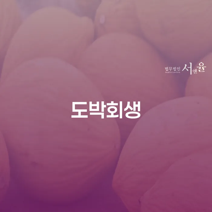 채무자대리인제도 빚 합법적인 빠른방법 어떻게 해야하는지