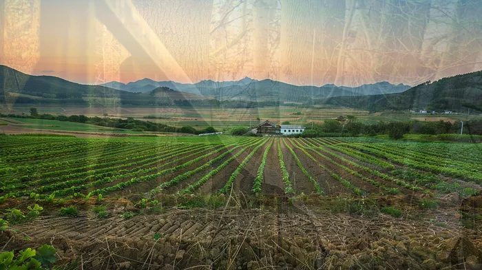 신용대출햇살론 연체 시