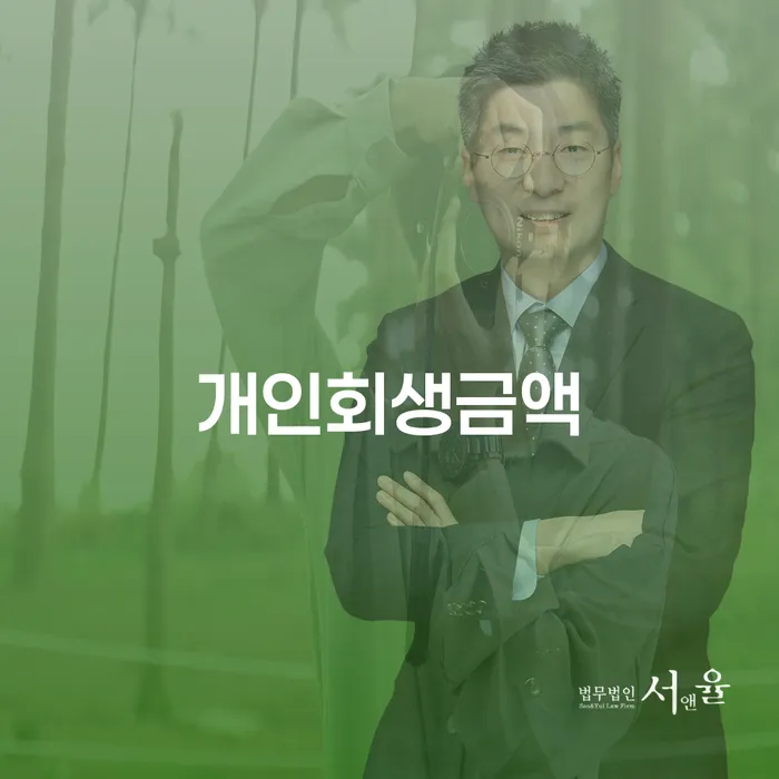 평택시 개인회생변제율 대출 받은 돈채무조정 믿고 진행 할 수 있는