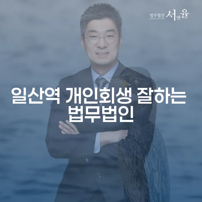 일산역 개인회생 잘하는 법무법인