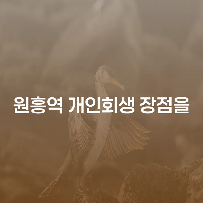 원흥역 개인회생 장점을