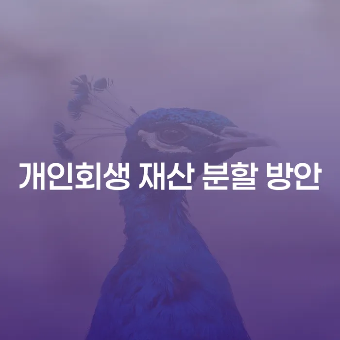개인회생 재산 분할 방안: 어떻게 채무 문제를 해결할 수 있을까요?