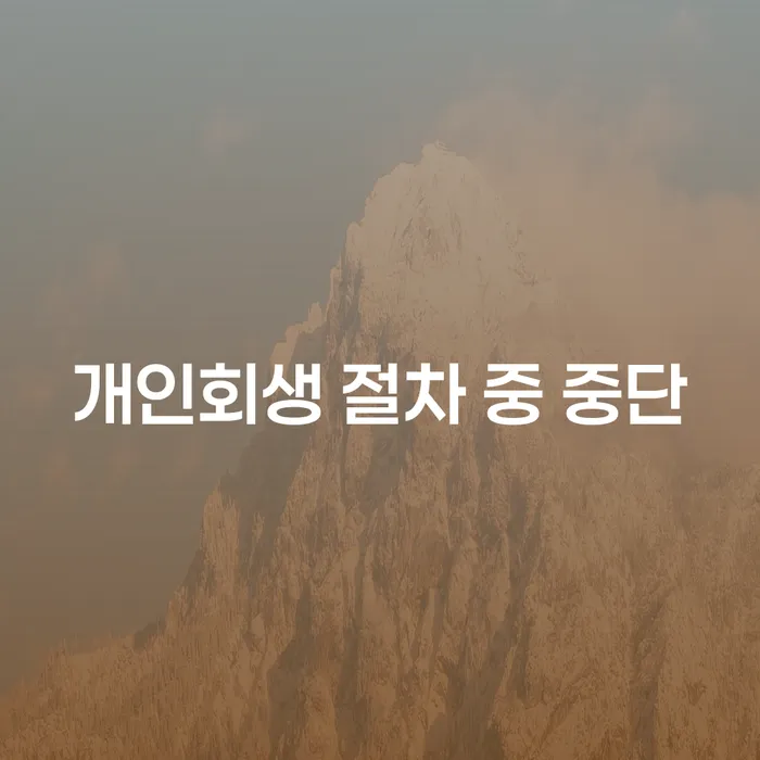 개인회생 절차 중 중단될 수 있는 경우와 해결 방법은?